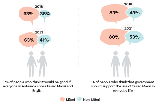 Support for te reo Māori